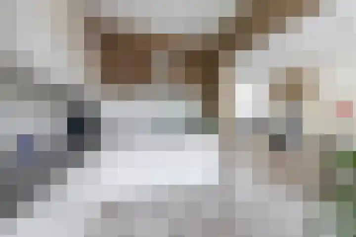 Boslaan 56 Zevenhuizen thumbnail 14