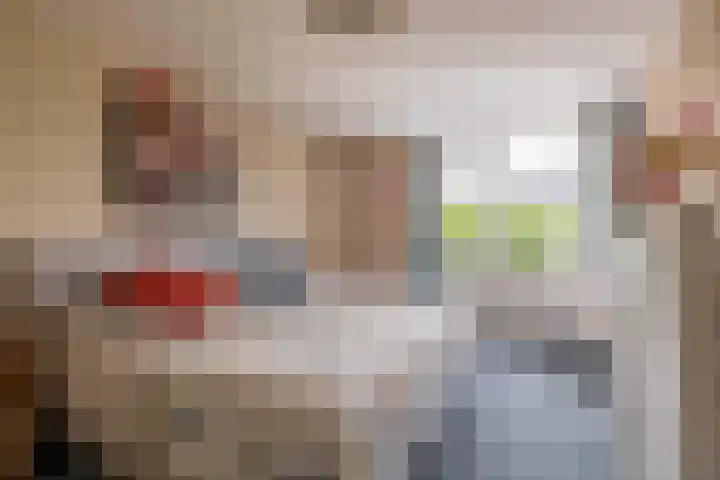 Boslaan 56 Zevenhuizen thumbnail 16