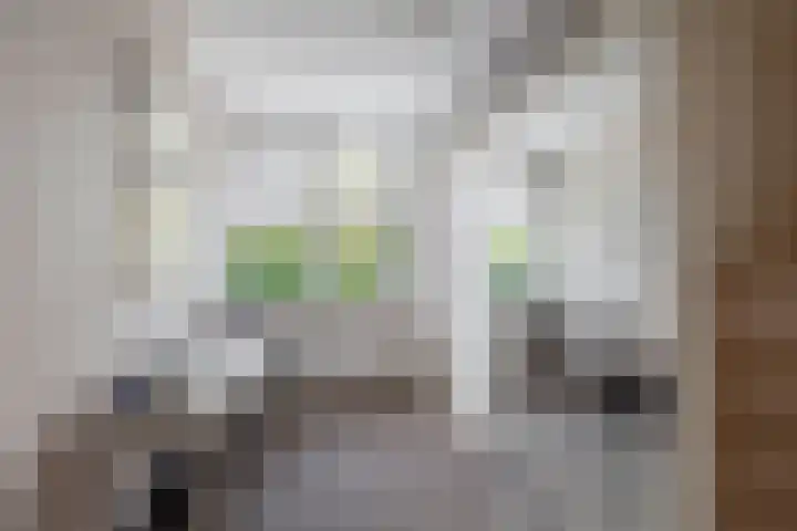 Boslaan 56 Zevenhuizen thumbnail 18