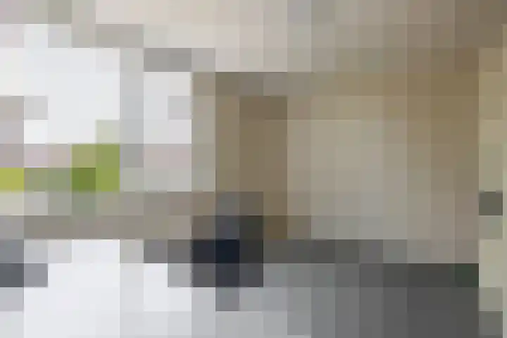 Boslaan 56 Zevenhuizen thumbnail 19
