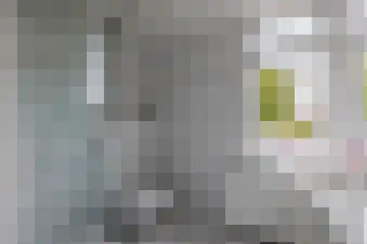 Boslaan 56 Zevenhuizen thumbnail 21
