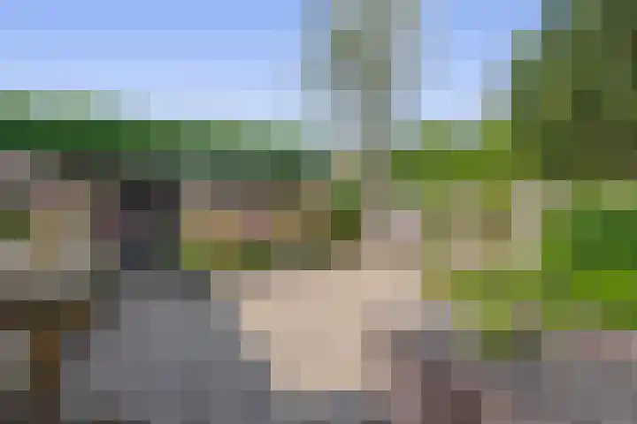 Boslaan 56 Zevenhuizen thumbnail 29