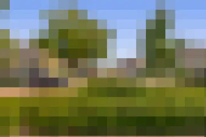 Boslaan 56 Zevenhuizen thumbnail 30