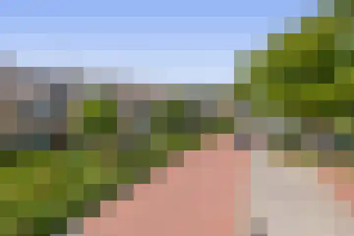 Boslaan 56 Zevenhuizen thumbnail 31