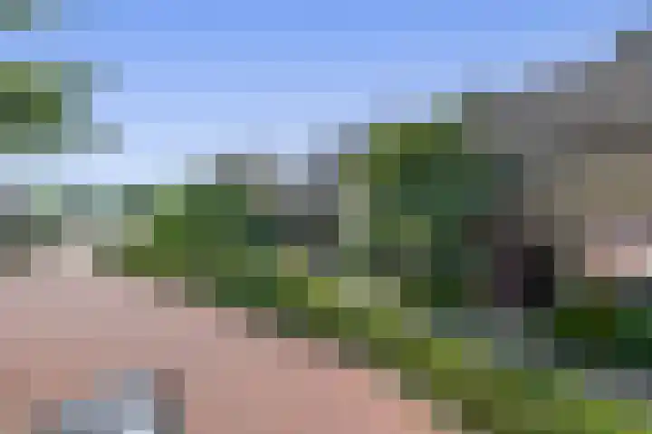 Boslaan 56 Zevenhuizen thumbnail 32