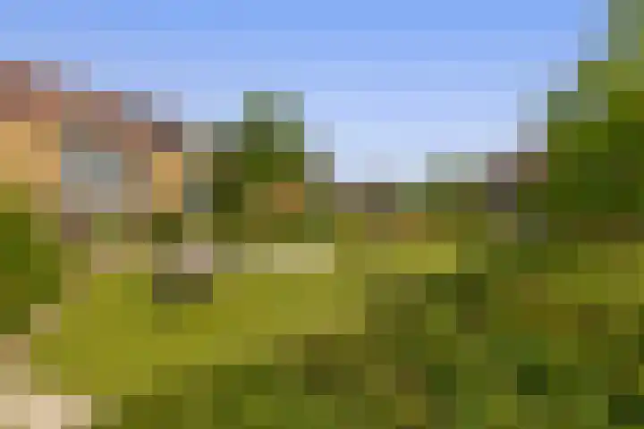 Boslaan 56 Zevenhuizen thumbnail 33