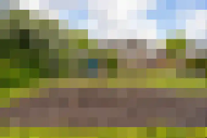Boslaan 56 Zevenhuizen thumbnail 34