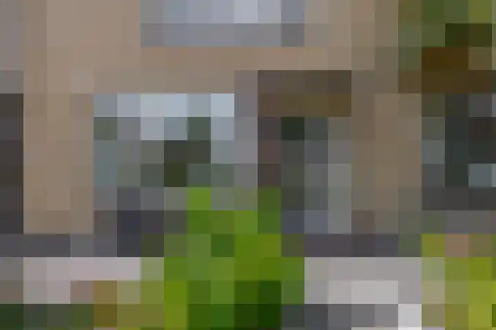 Boslaan 56 Zevenhuizen thumbnail 4