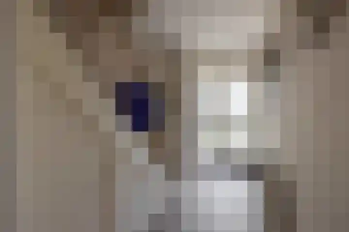Boslaan 56 Zevenhuizen thumbnail 5