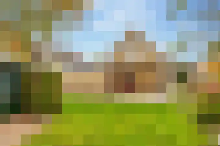 Boslaan 56 Zuidwolde thumbnail 47