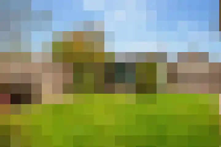 Boslaan 56 Zuidwolde thumbnail 49