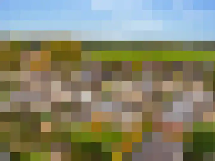 Boslaan 56 Zuidwolde thumbnail 5