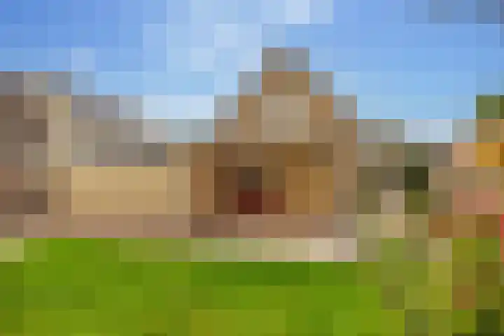 Boslaan 56 Zuidwolde thumbnail 53