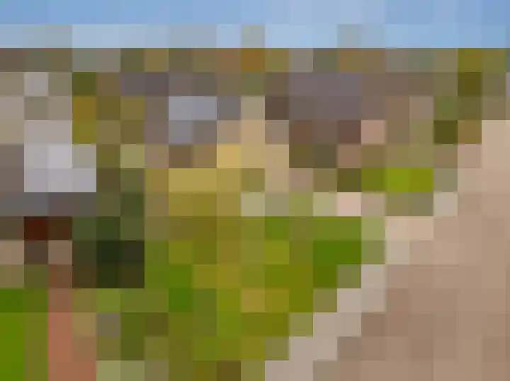 Boslaan 56 Zuidwolde thumbnail 6