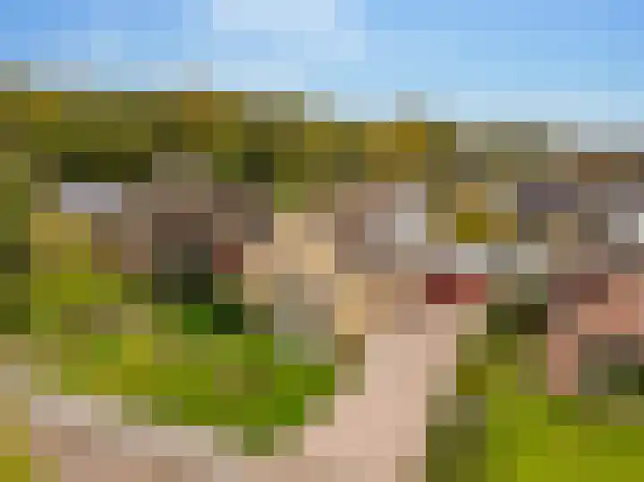 Boslaan 56 Zuidwolde thumbnail 60