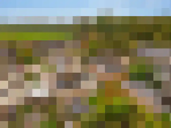Boslaan 56 Zuidwolde thumbnail 63