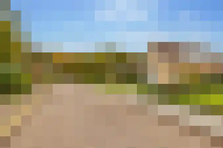 Boslaan 56 Zuidwolde thumbnail 65