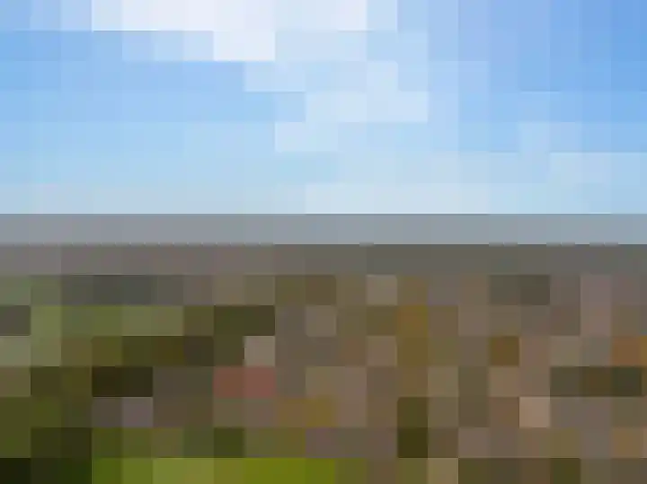 Boslaan 56 Zuidwolde thumbnail 66