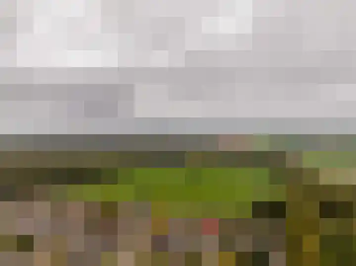 Boslaan 56 Zuidwolde thumbnail 67