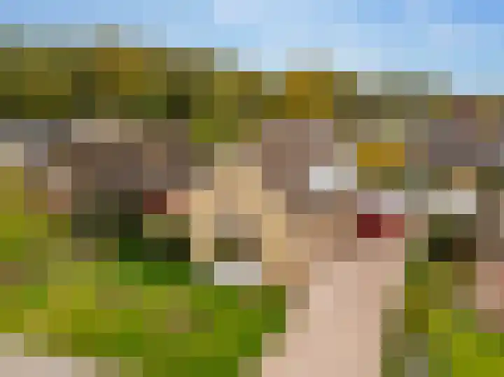 Boslaan 56 Zuidwolde thumbnail 7