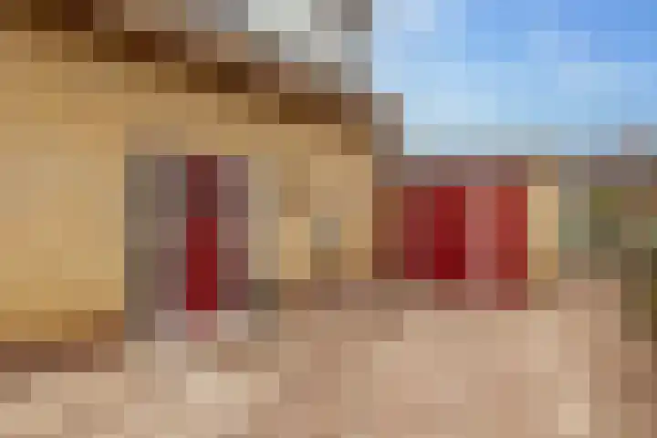 Boslaan 56 Zuidwolde thumbnail 8
