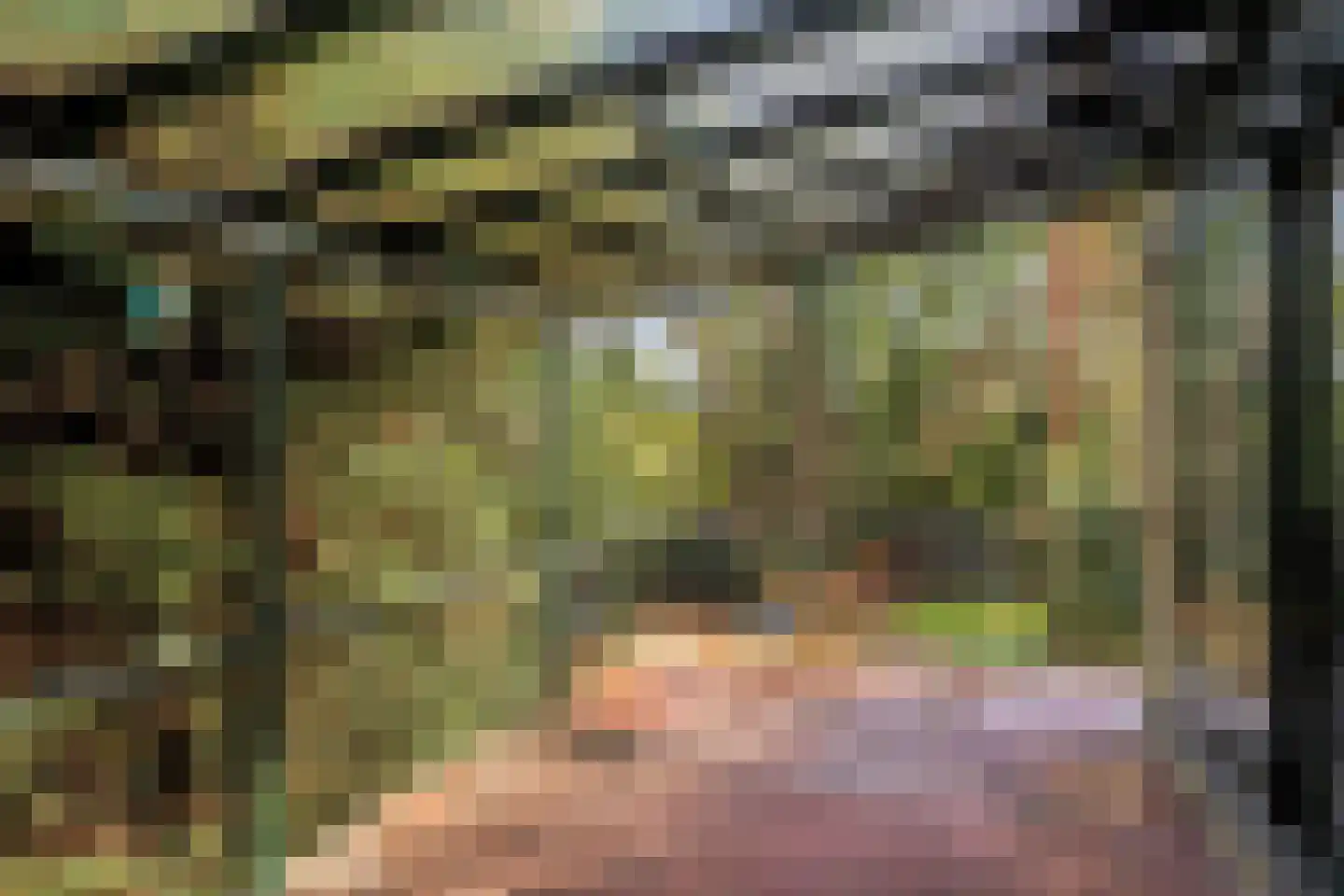 Boslaan 6 Landgraaf thumbnail 16