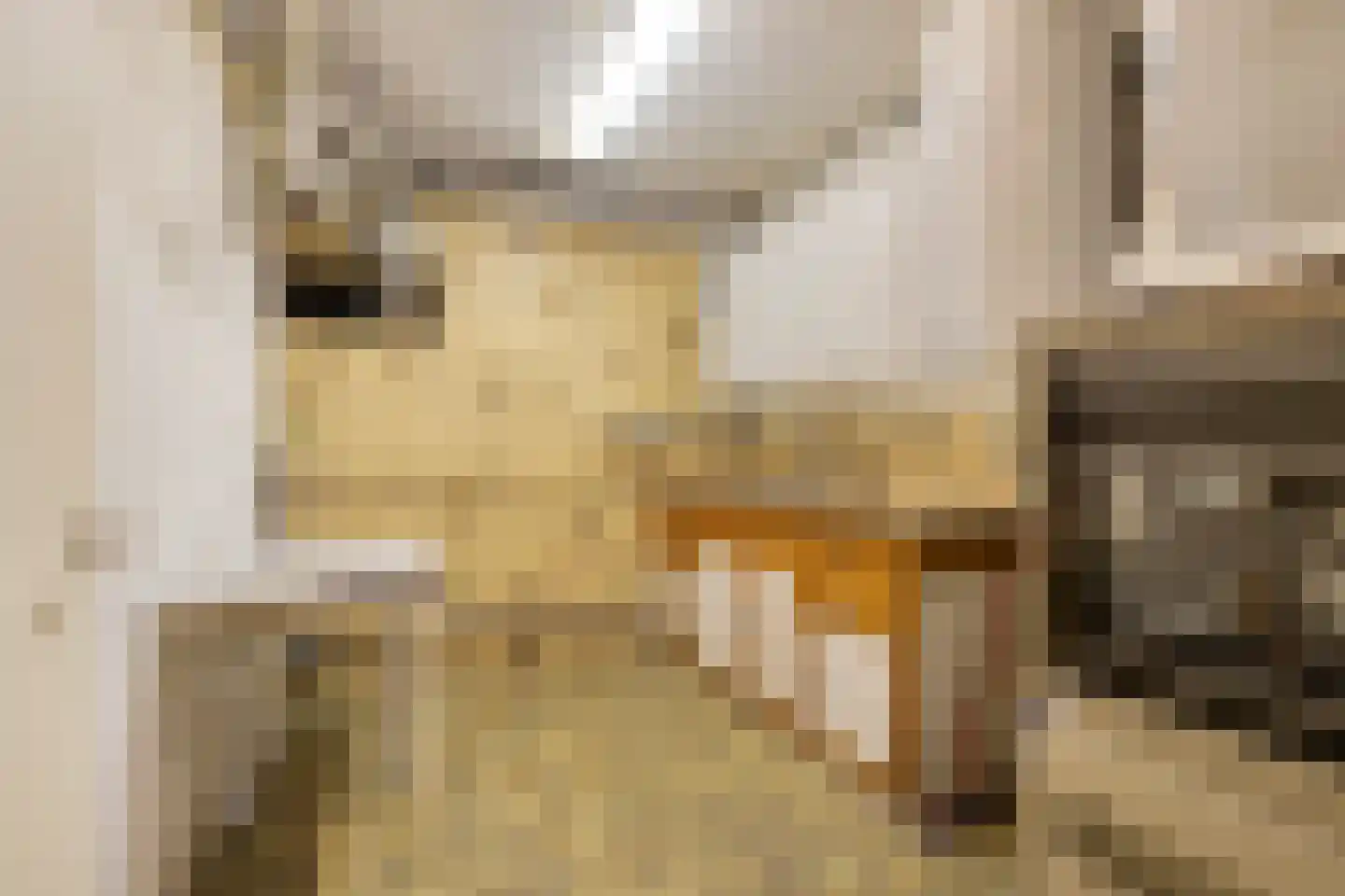 Boslaan 6 Landgraaf thumbnail 34