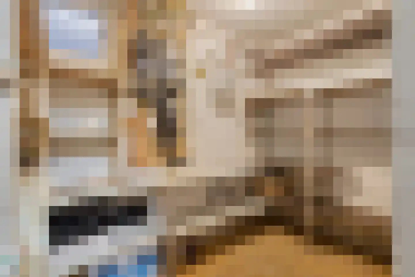 Boslaan 6 Landgraaf thumbnail 35
