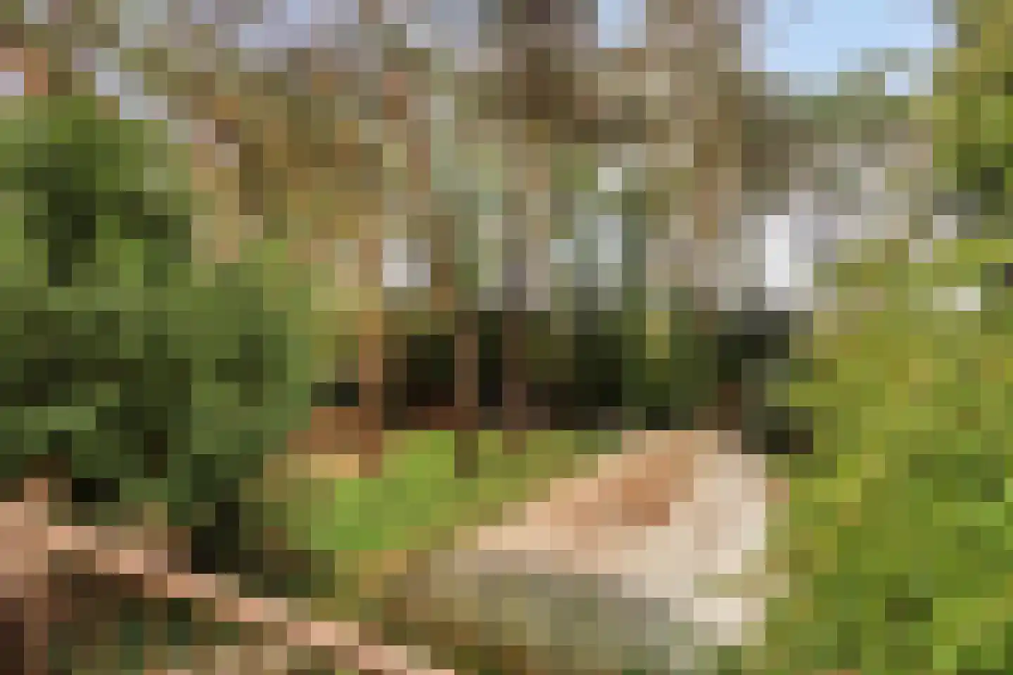 Boslaan 6 Landgraaf thumbnail 36