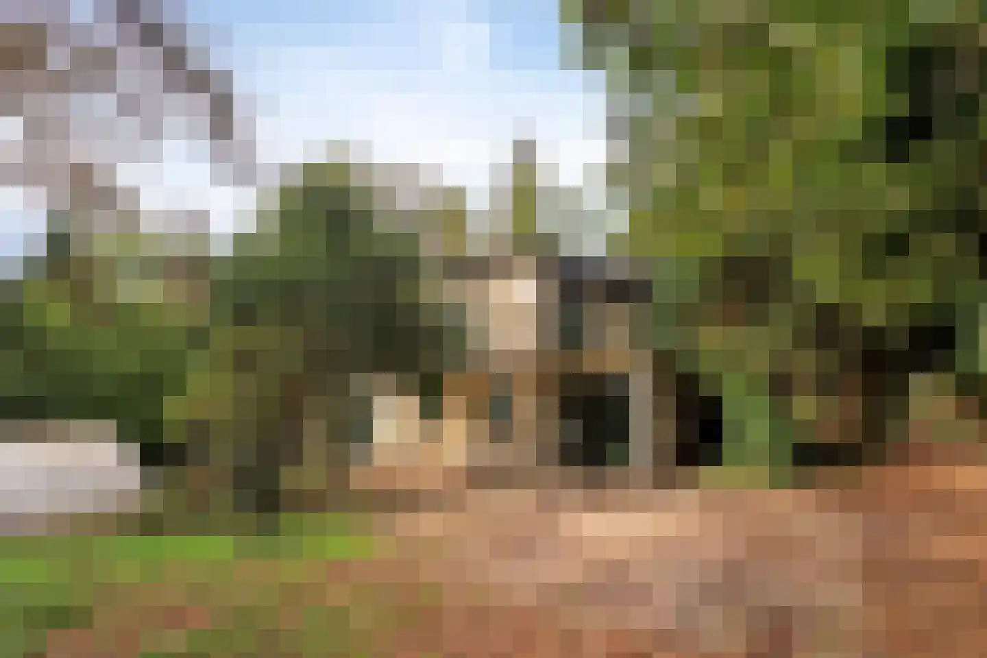 Boslaan 6 Landgraaf thumbnail 37