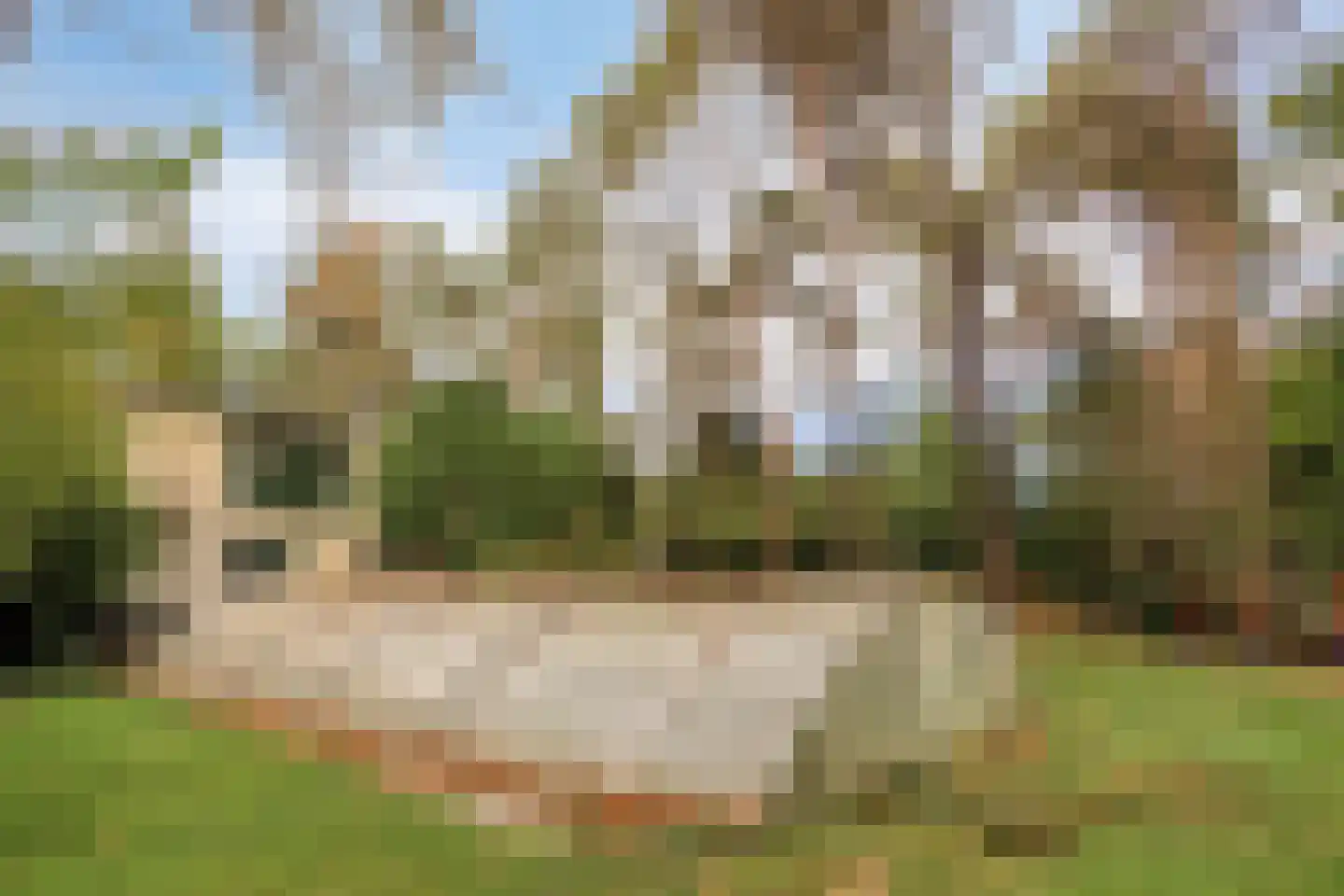 Boslaan 6 Landgraaf thumbnail 38