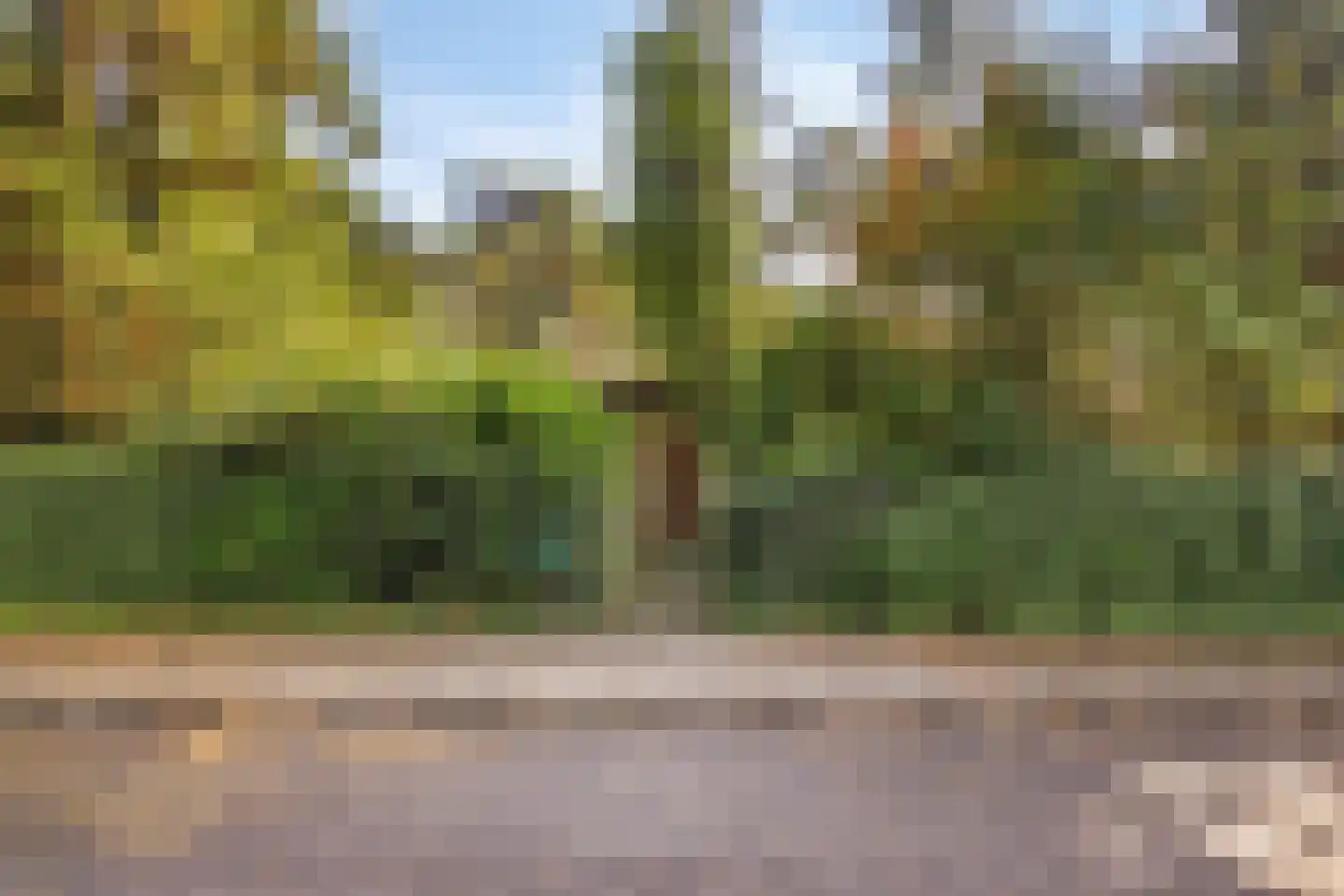 Boslaan 6 Landgraaf thumbnail 39