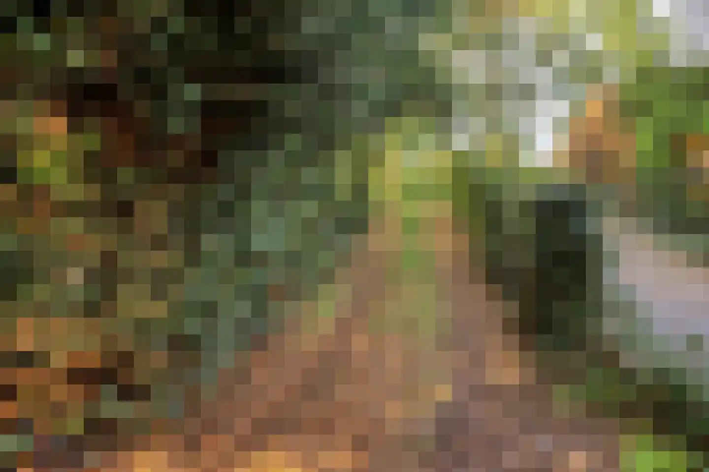 Boslaan 6 Landgraaf thumbnail 42