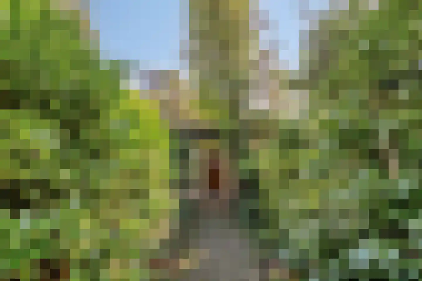 Boslaan 6 Landgraaf thumbnail 8