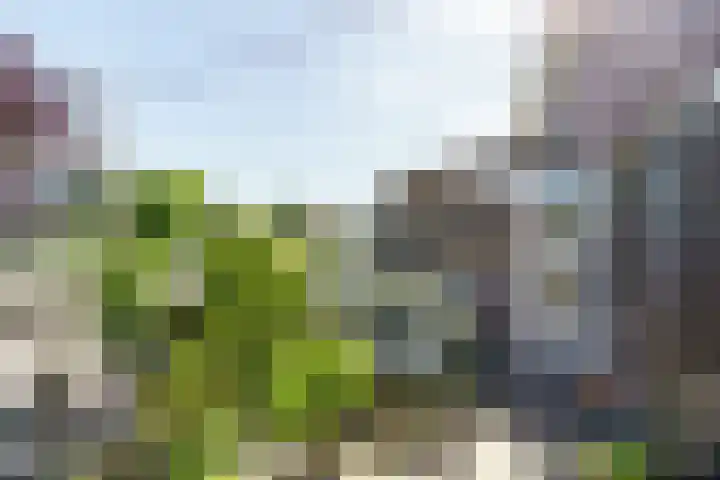 Boslaan 61 Bloemendaal thumbnail 4