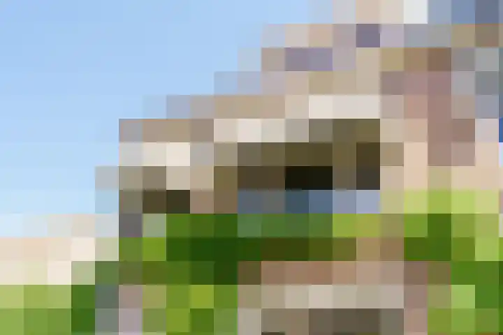 Boslaan 61 Bloemendaal thumbnail 6