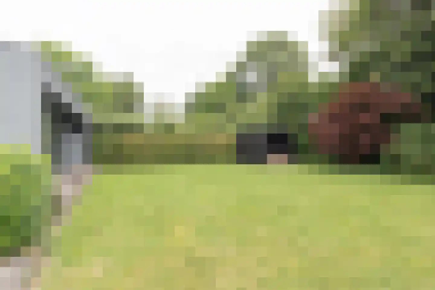 Boslaan 61 Zuidhorn thumbnail 18