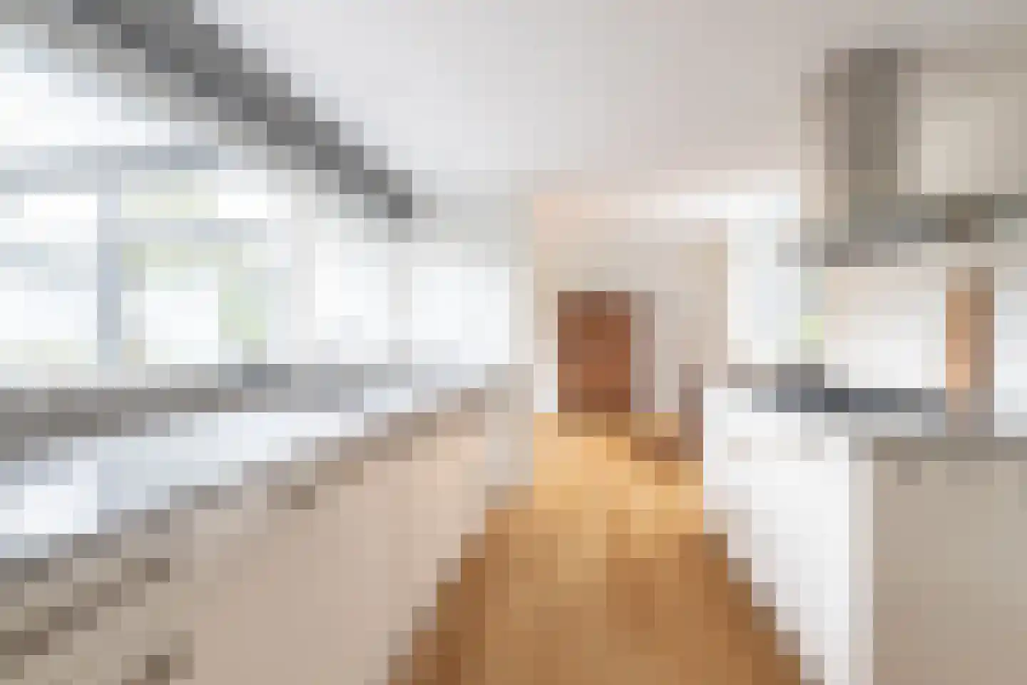 Boslaan 61 Zuidhorn thumbnail 34
