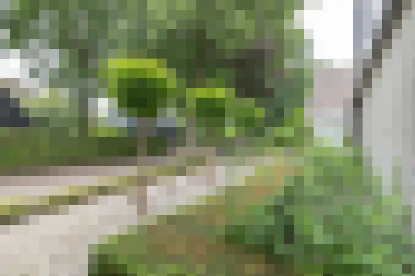 Boslaan 61 Zuidhorn thumbnail 5