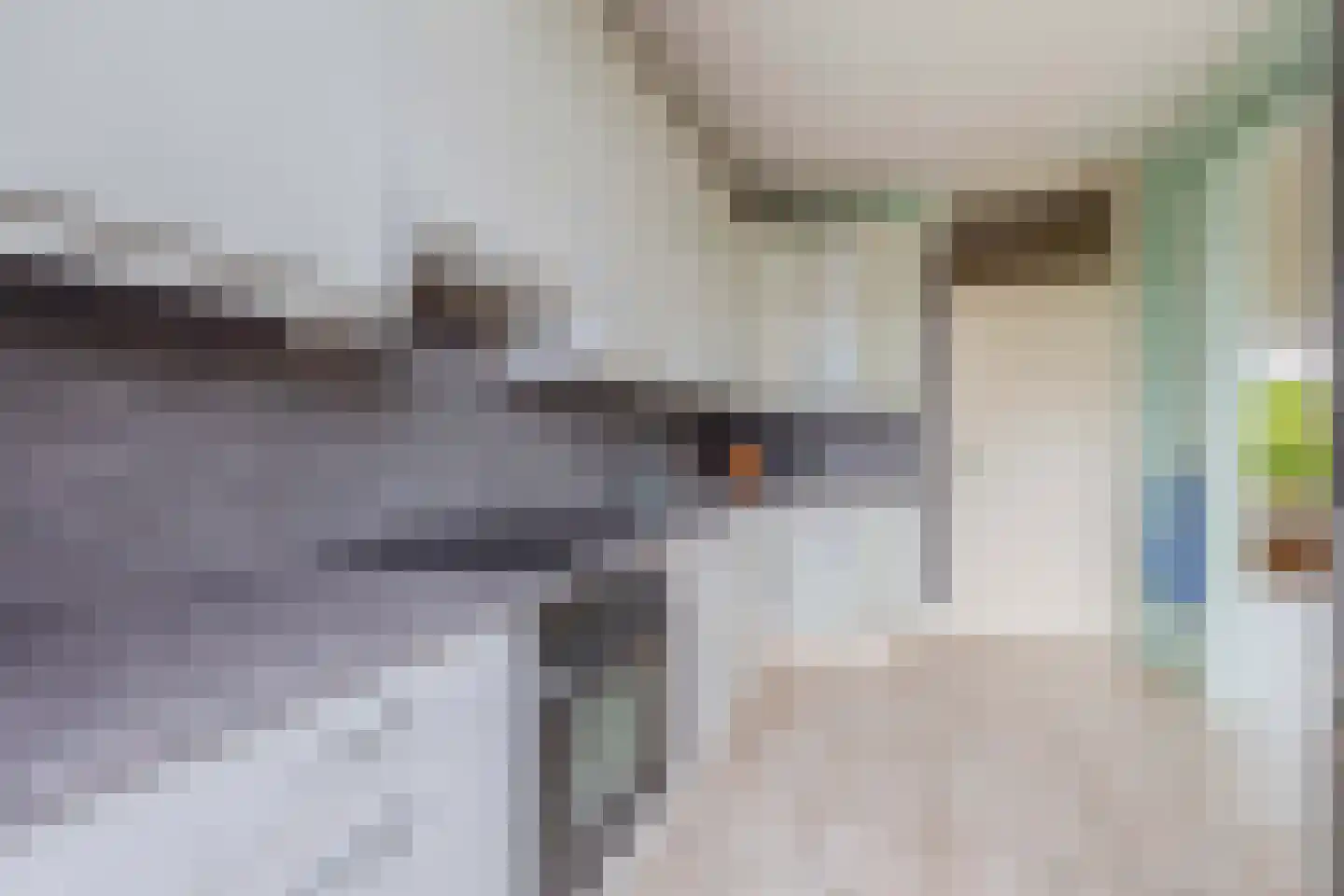 Boslaan 62 Zevenhuizen thumbnail 12