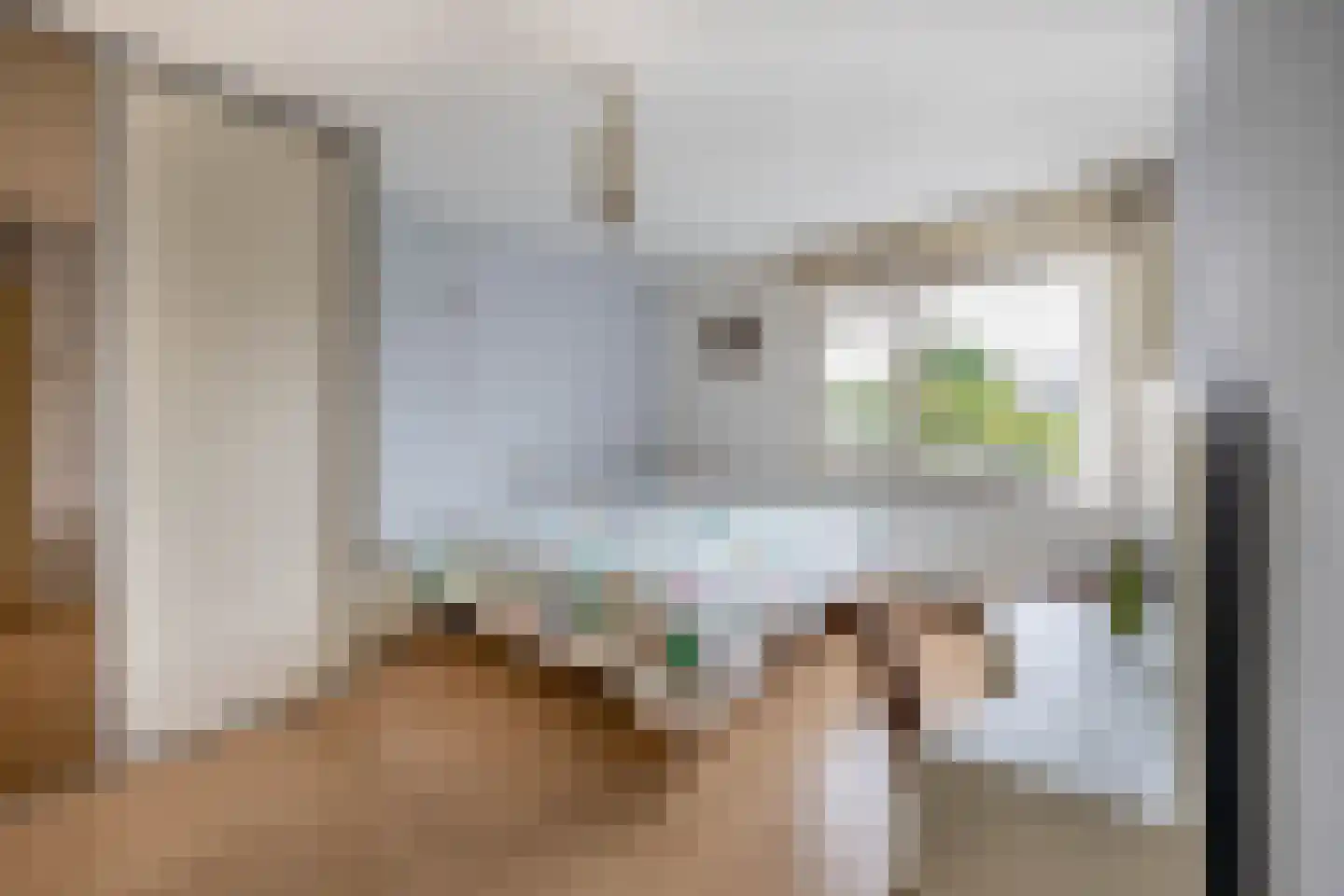 Boslaan 62 Zevenhuizen thumbnail 16