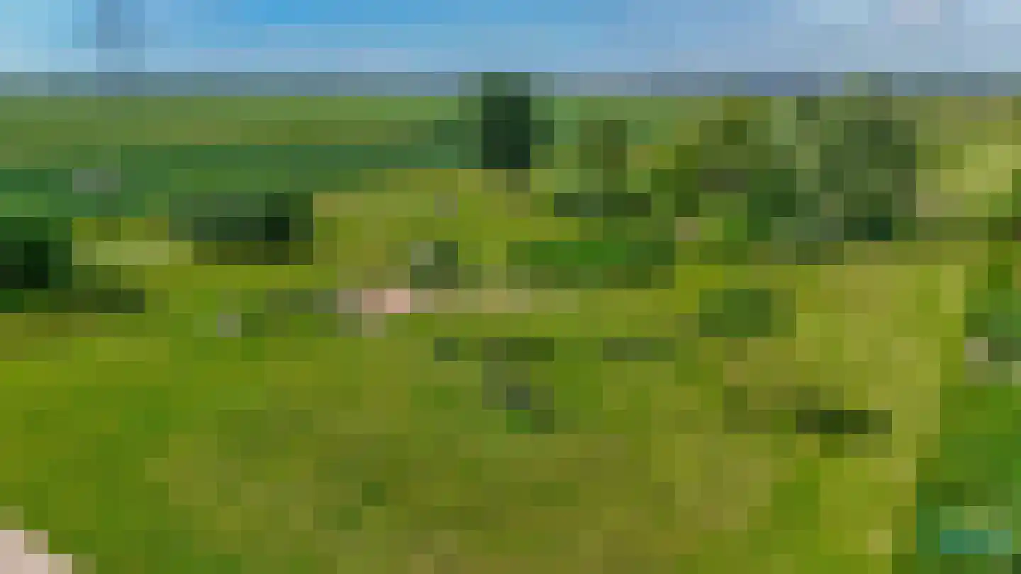 Boslaan 62 Zevenhuizen thumbnail 30