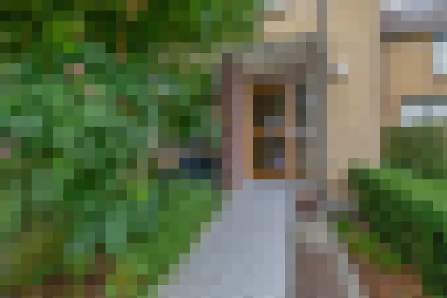 Boslaan 62 Zevenhuizen thumbnail 5
