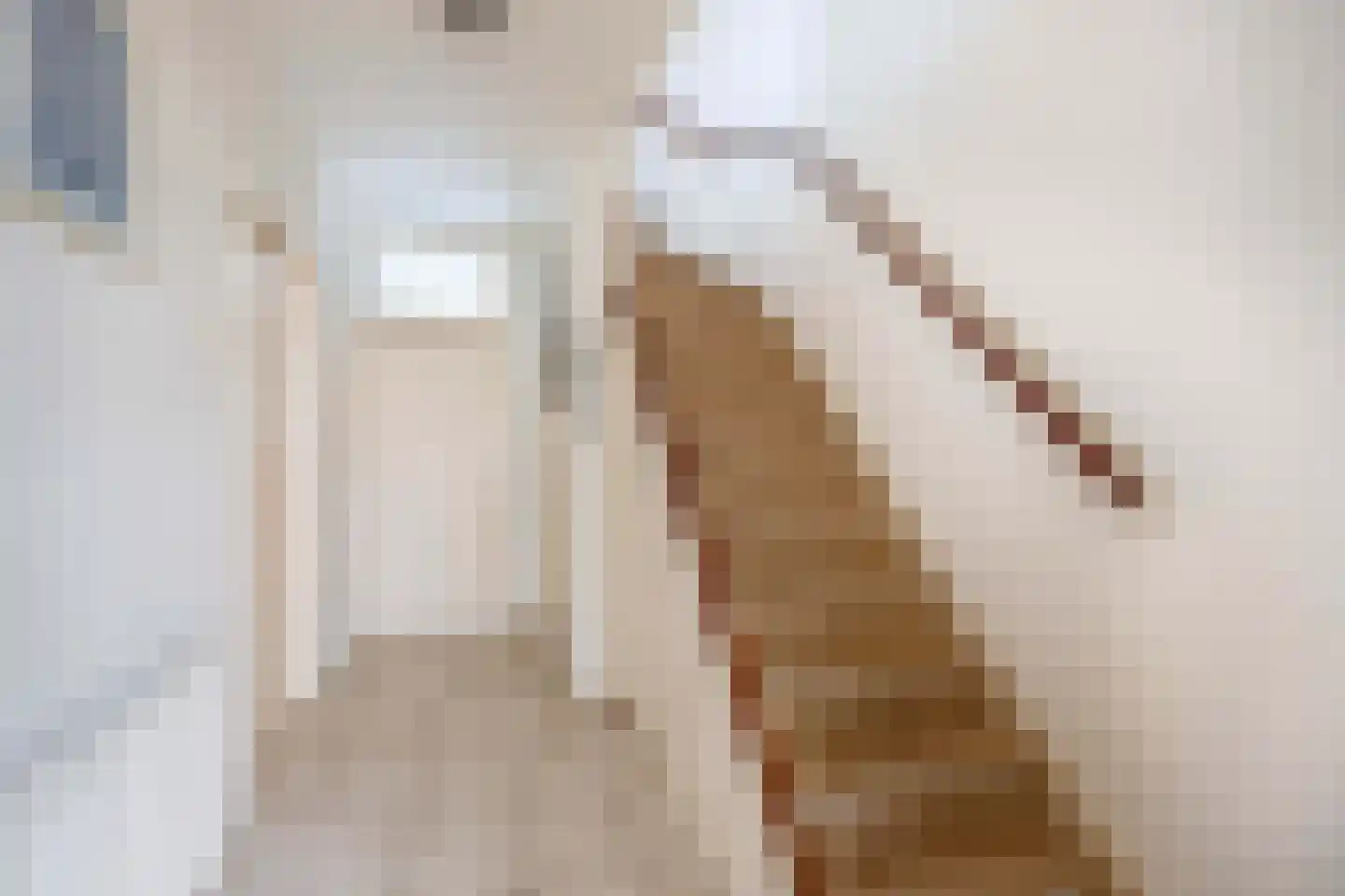 Boslaan 62 Zevenhuizen thumbnail 8