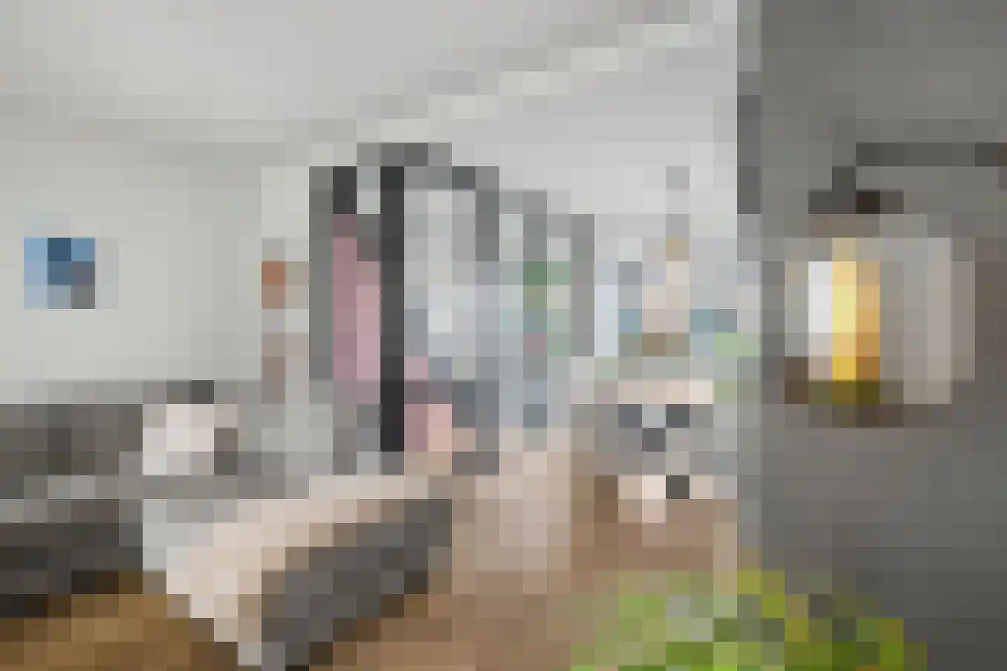 Boslaan 63 Veenendaal thumbnail 6