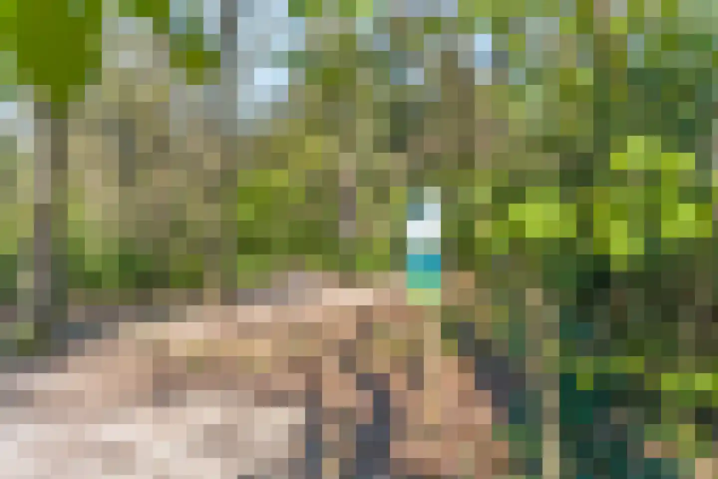 Boslaan 65 Amerongen thumbnail 31