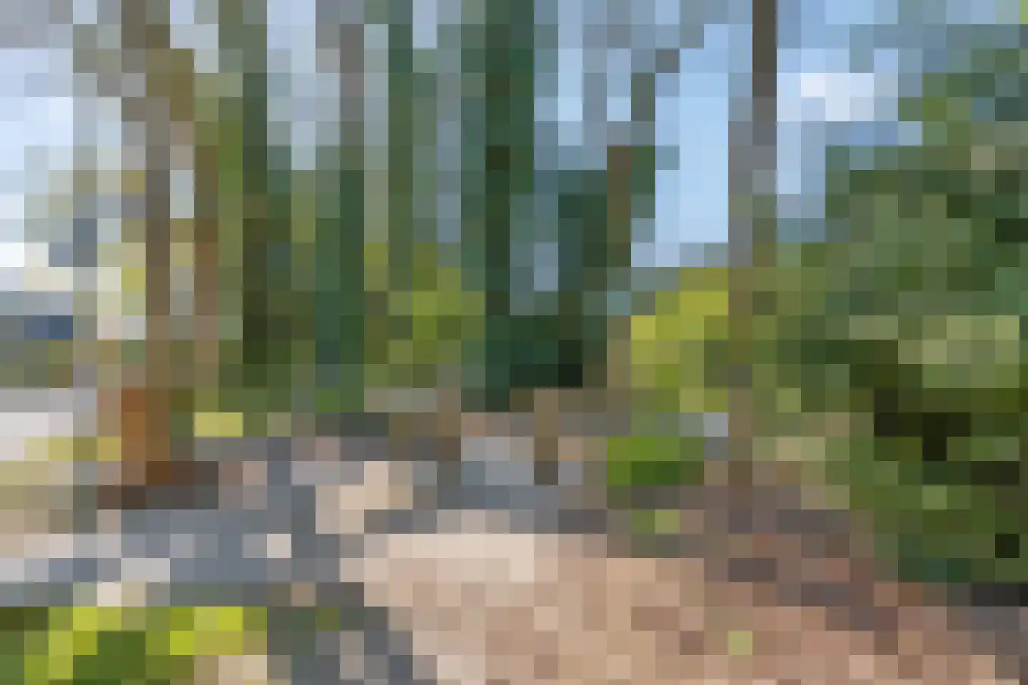 Boslaan 65 Amerongen thumbnail 32