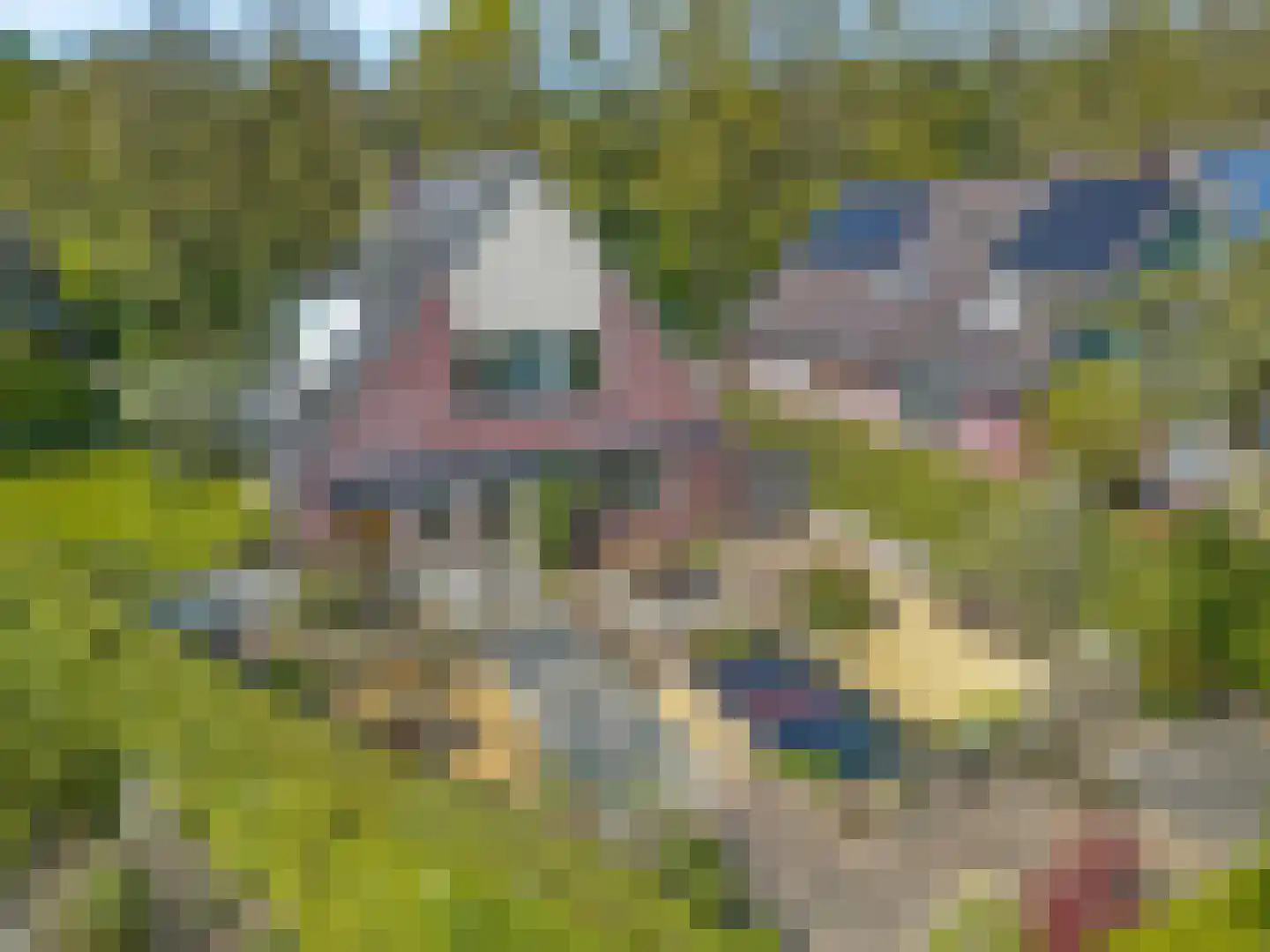 Boslaan 65 Amerongen thumbnail 4