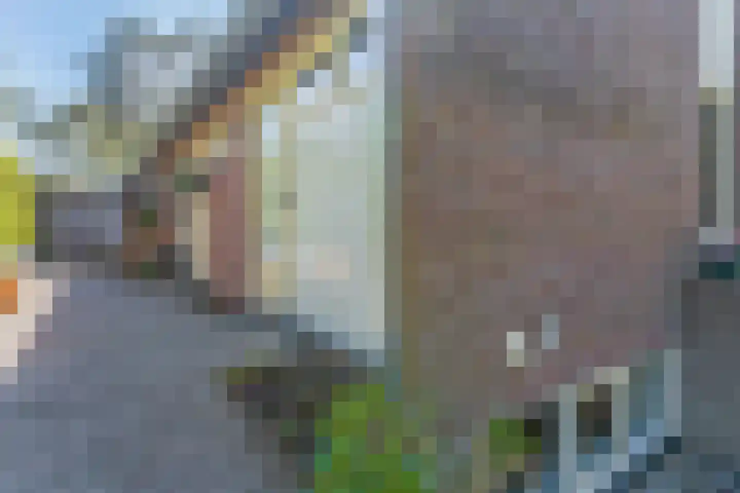 Boslaan 65 Amerongen thumbnail 42