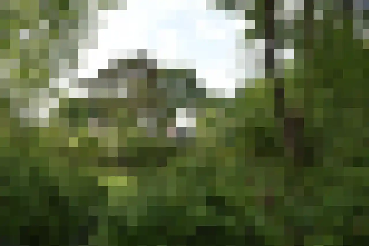 Boslaan 65 Amerongen thumbnail 45